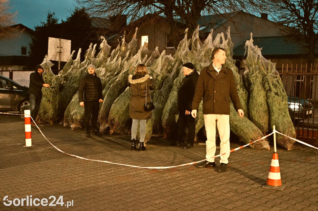 Choinki od Starosty (20.12.)