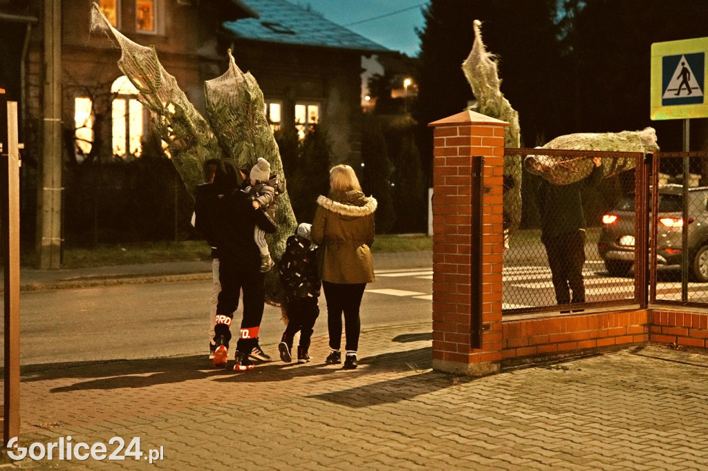 Choinki od Starosty (20.12.)