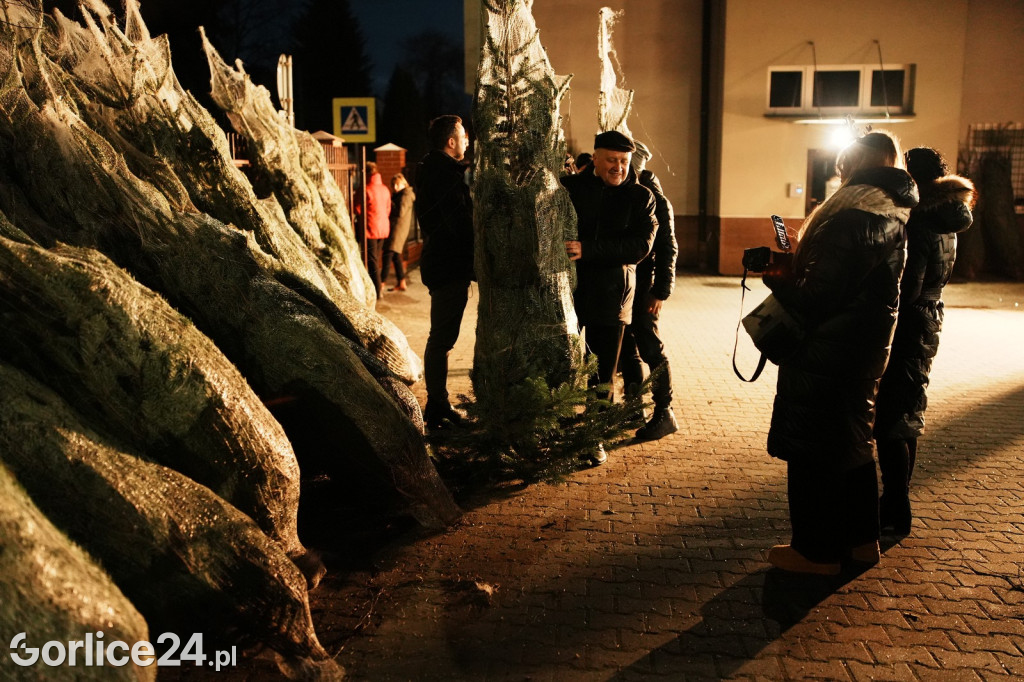 Choinki od Starosty (20.12.)