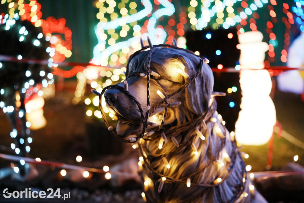 Najbardziej rozświetlony dom w Gorlicach - 25.12.2024