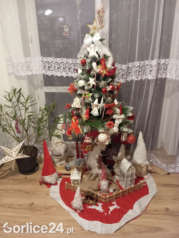 100 Waszych najpiękniejszych choinek
