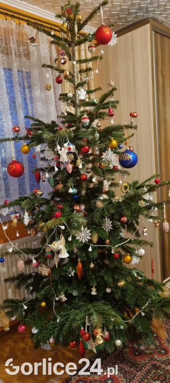 100 Waszych najpiękniejszych choinek