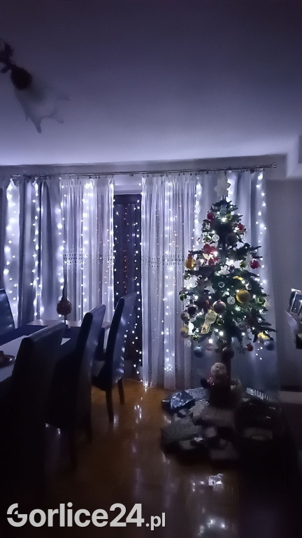100 Waszych najpiękniejszych choinek