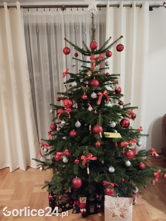 100 Waszych najpiękniejszych choinek