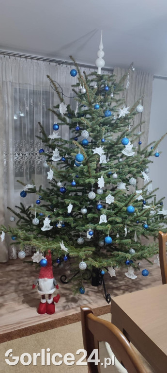 100 Waszych najpiękniejszych choinek