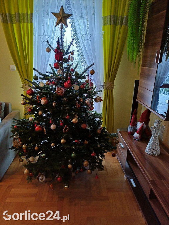 100 Waszych najpiękniejszych choinek