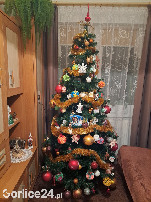 100 Waszych najpiękniejszych choinek