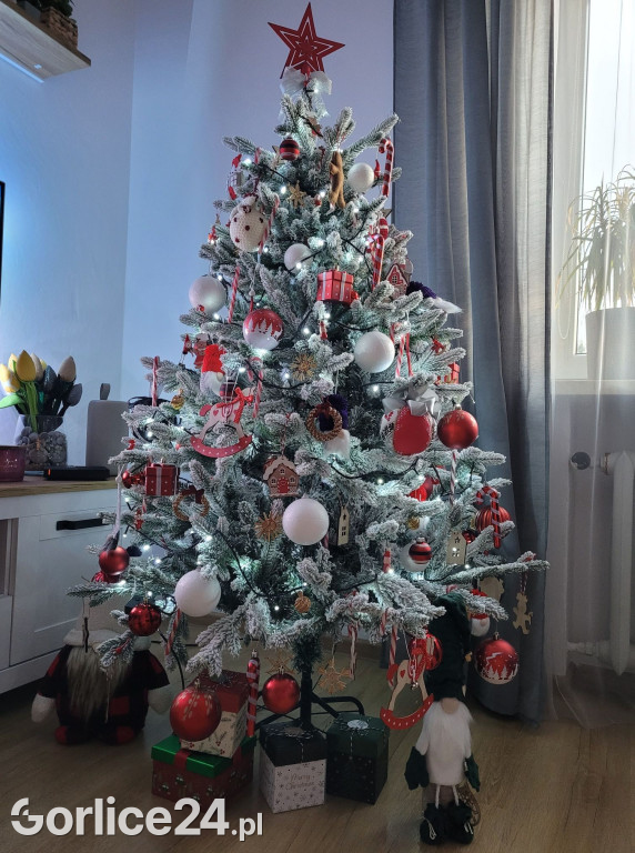 100 Waszych najpiękniejszych choinek