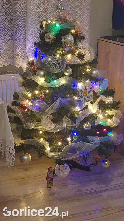 100 Waszych najpiękniejszych choinek