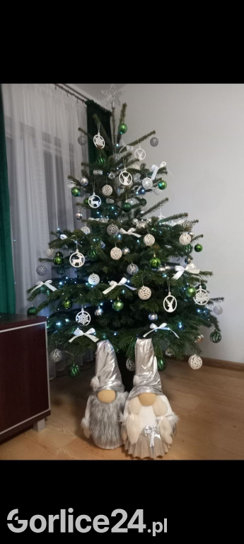 100 Waszych najpiękniejszych choinek