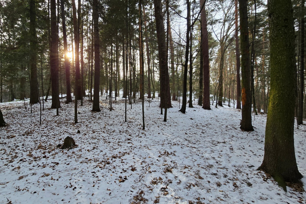 Park Miejski w Gorlicach zimą