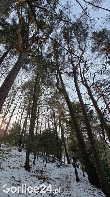 Park Miejski w Gorlicach zimą