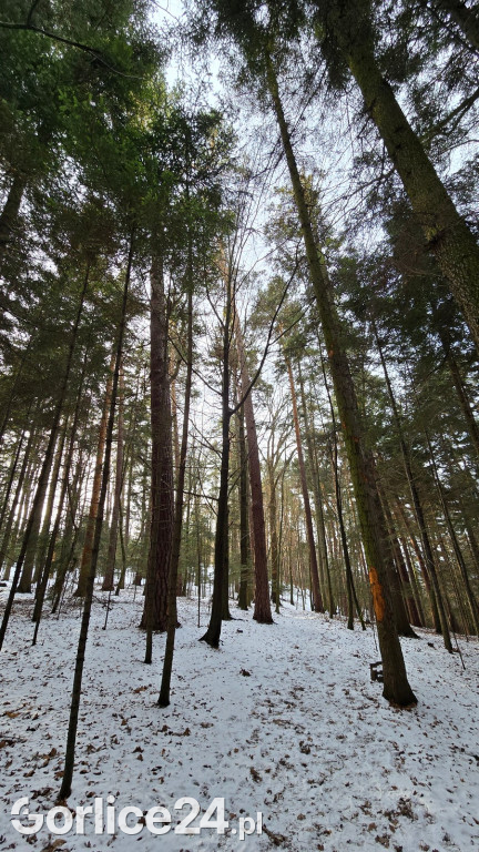 Park Miejski w Gorlicach zimą