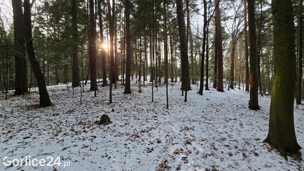 Park Miejski w Gorlicach zimą
