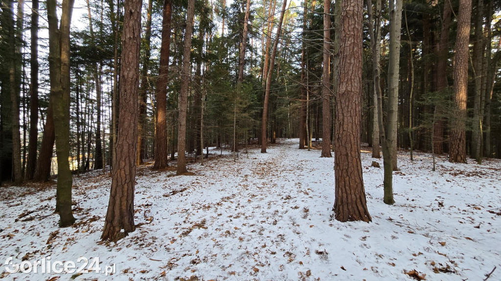 Park Miejski w Gorlicach zimą