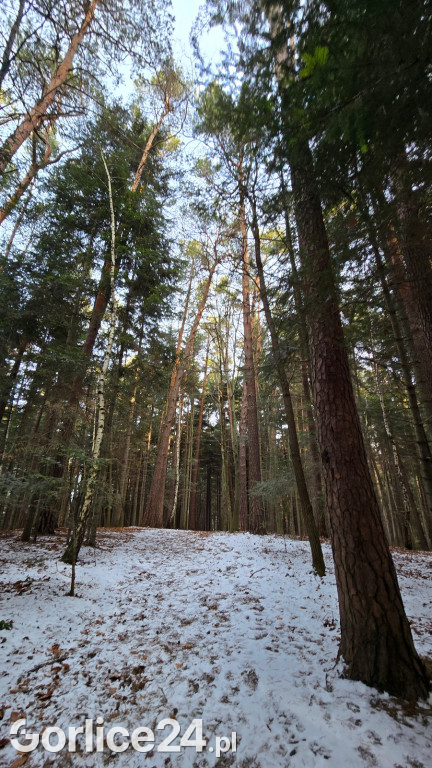 Park Miejski w Gorlicach zimą