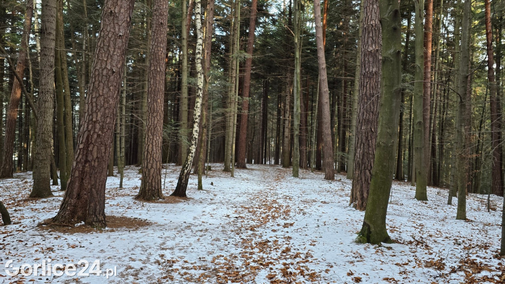 Park Miejski w Gorlicach zimą