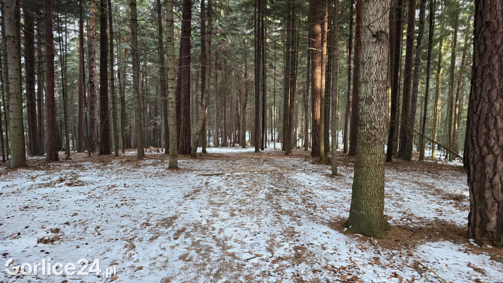 Park Miejski w Gorlicach zimą