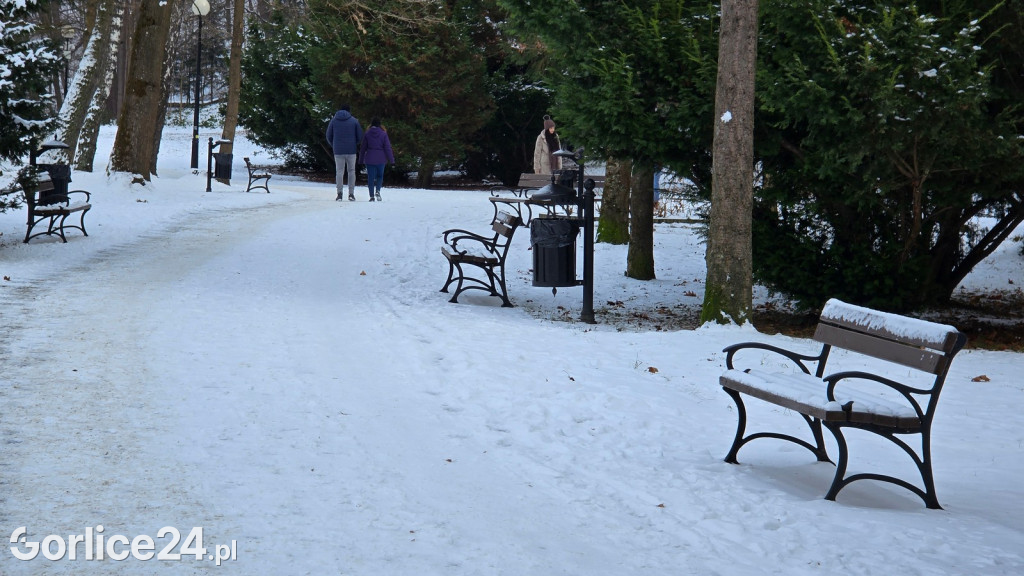 Park Miejski w Gorlicach zimą