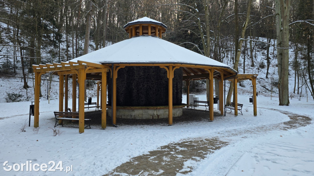 Park Miejski w Gorlicach zimą