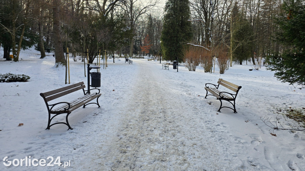 Park Miejski w Gorlicach zimą