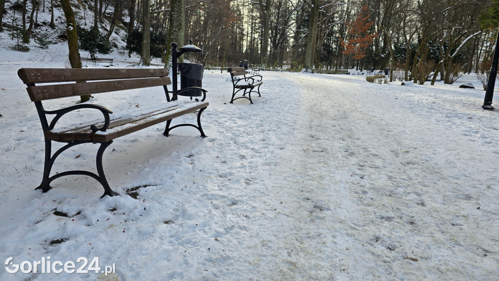 Park Miejski w Gorlicach zimą
