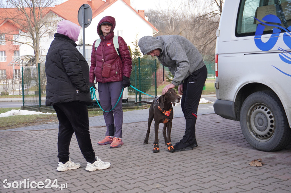 Gorliczanie na trasie „Orkiestrowej Piątki” (26.01.)