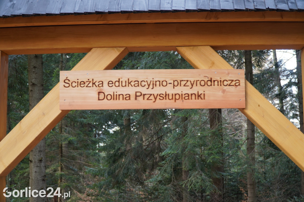 Ścieżka w Dolinie Przysłupianki