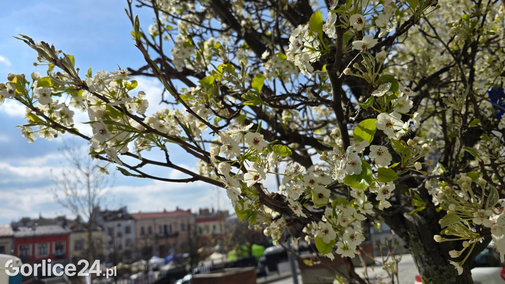 Remont uliczek przy Rynku (13.04.)