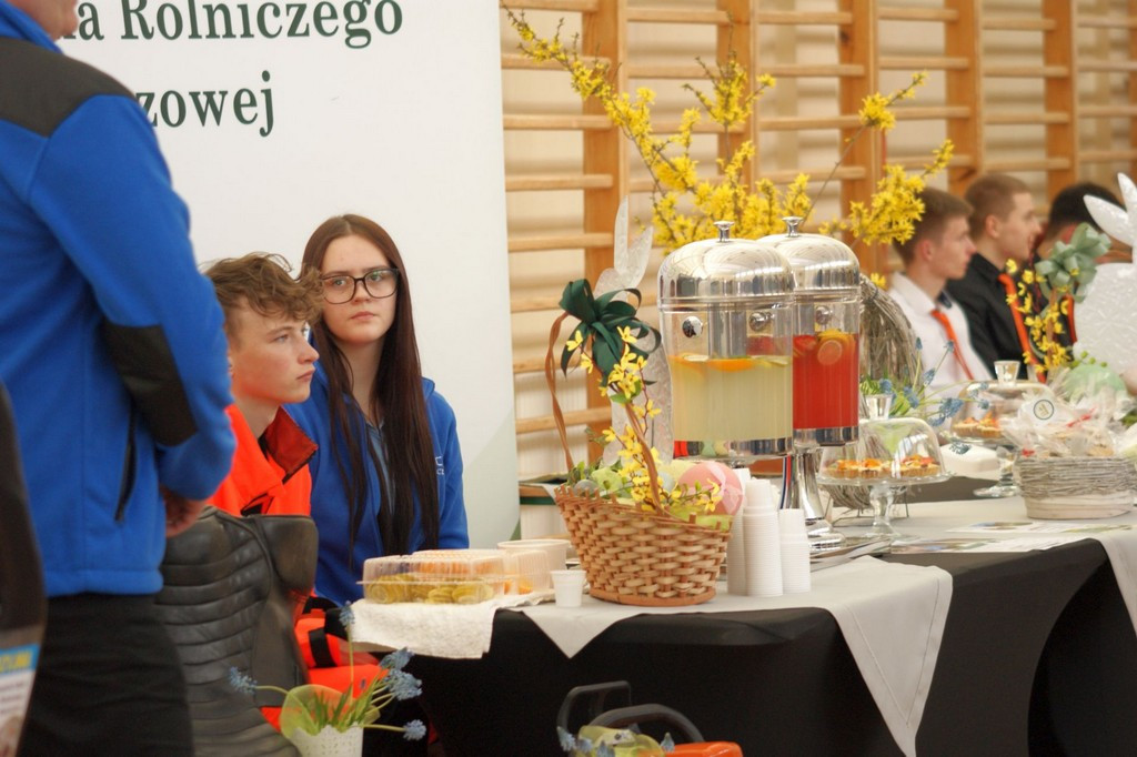 Festiwal edukacyjny w MZS nr 6  w Gorlicach