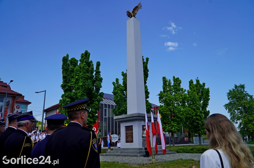 Intronizacja Króla Kurkowego