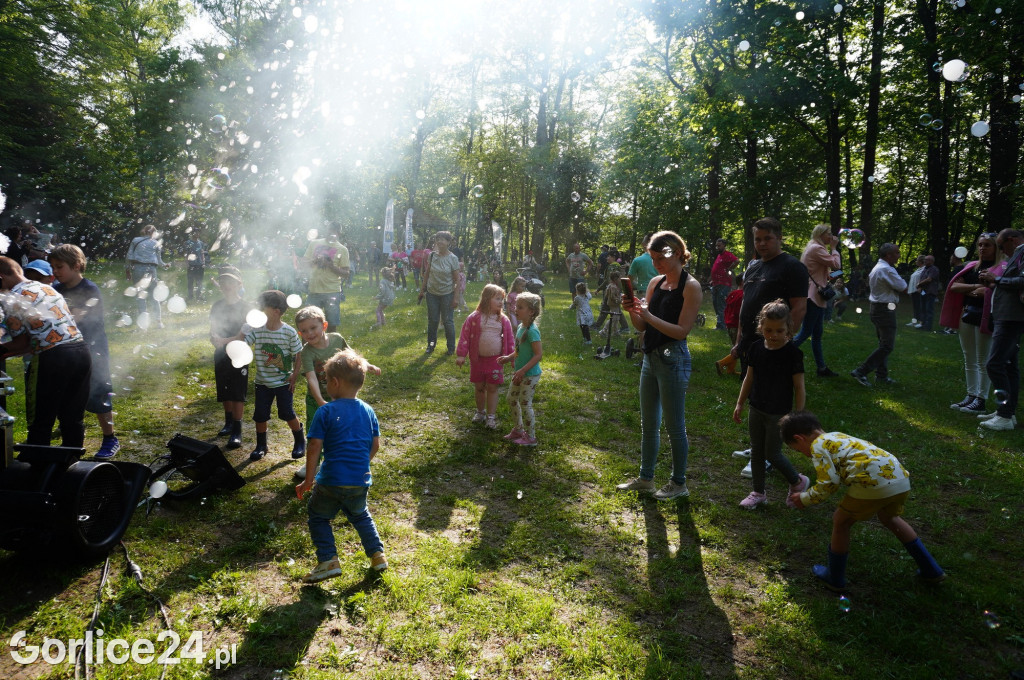 Bańkowa polana w parku miejskim (03.05)