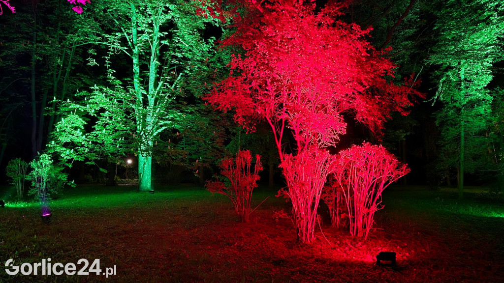 Festiwal Światła - iluminacja w Parku Miejskim (03.05.)
