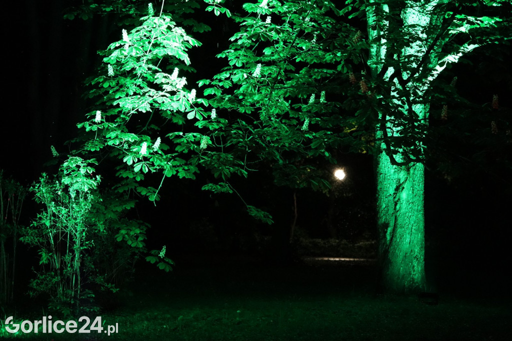 Festiwal Światła - iluminacja w Parku Miejskim (03.05.)