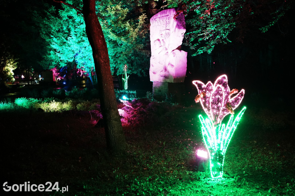 Festiwal Światła - iluminacja w Parku Miejskim (03.05.)