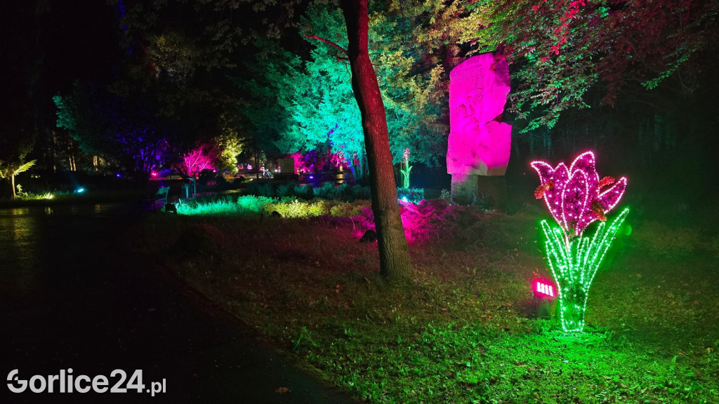 Festiwal Światła - iluminacja w Parku Miejskim (03.05.)