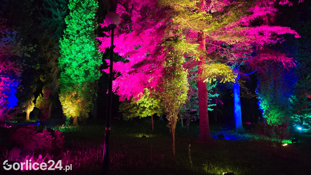 Festiwal Światła - iluminacja w Parku Miejskim (03.05.)