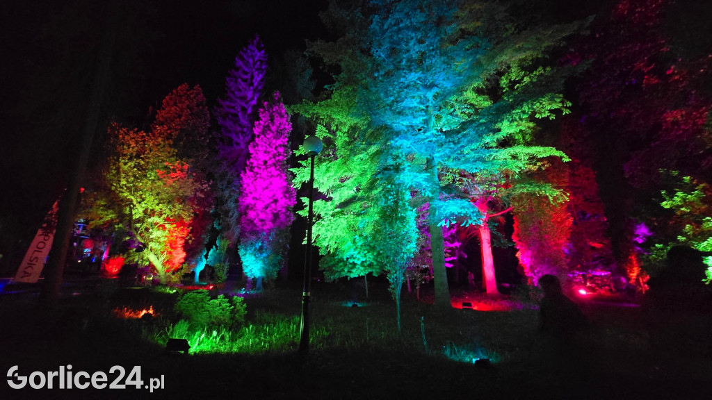 Festiwal Światła - iluminacja w Parku Miejskim (03.05.)