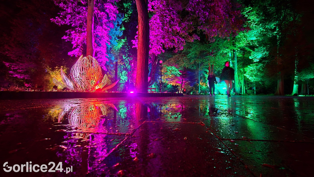 Festiwal Światła - iluminacja w Parku Miejskim (03.05.)