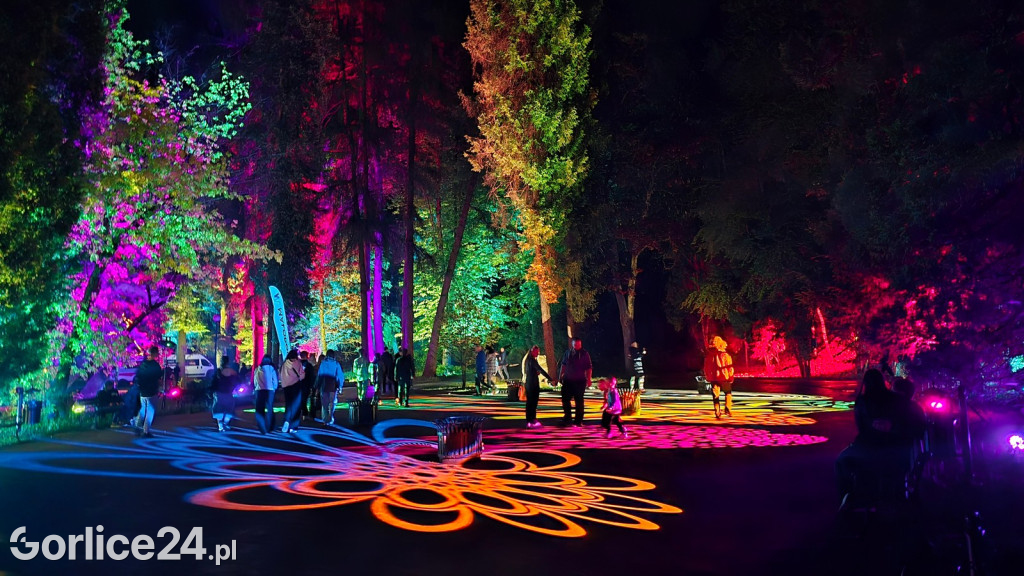 Festiwal Światła - iluminacja w Parku Miejskim (03.05.)