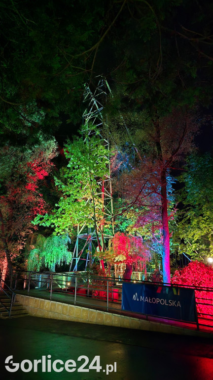 Festiwal Światła - iluminacja w Parku Miejskim (03.05.)