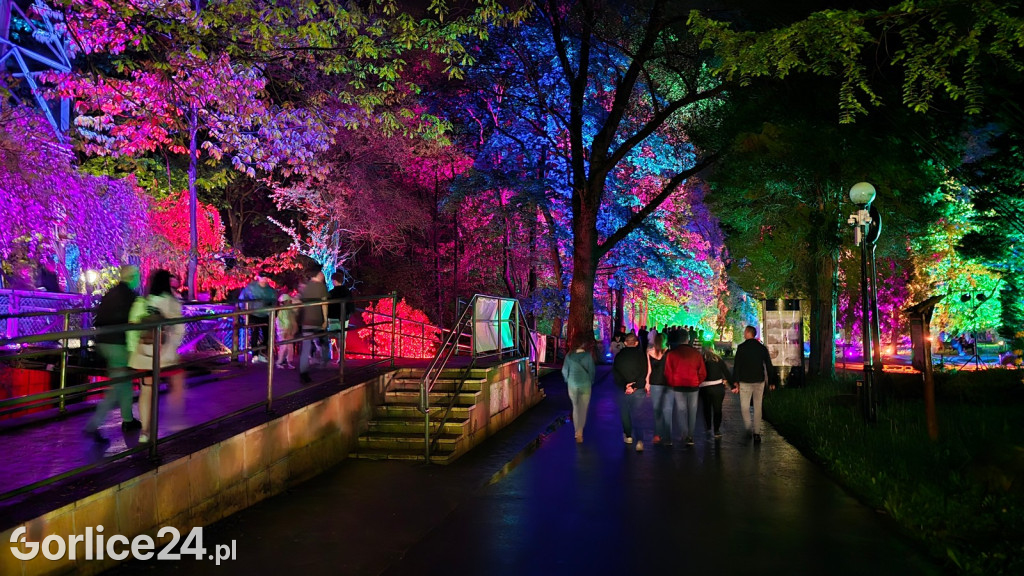 Festiwal Światła - iluminacja w Parku Miejskim (03.05.)