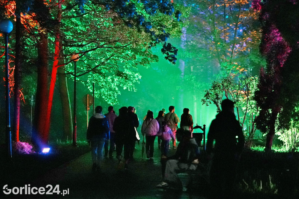 Festiwal Światła - iluminacja w Parku Miejskim (03.05.)