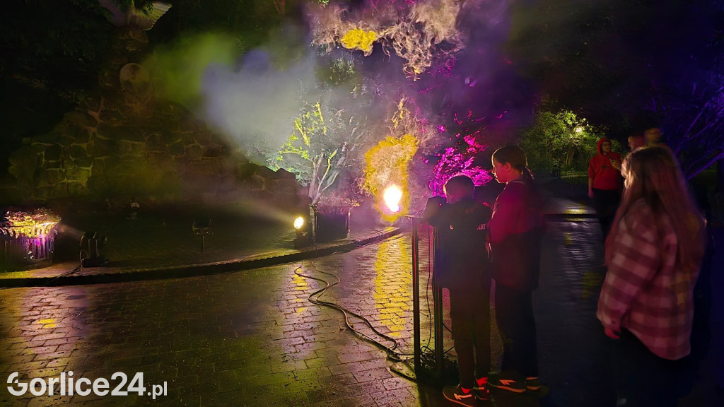 Festiwal Światła - iluminacja w Parku Miejskim (03.05.)