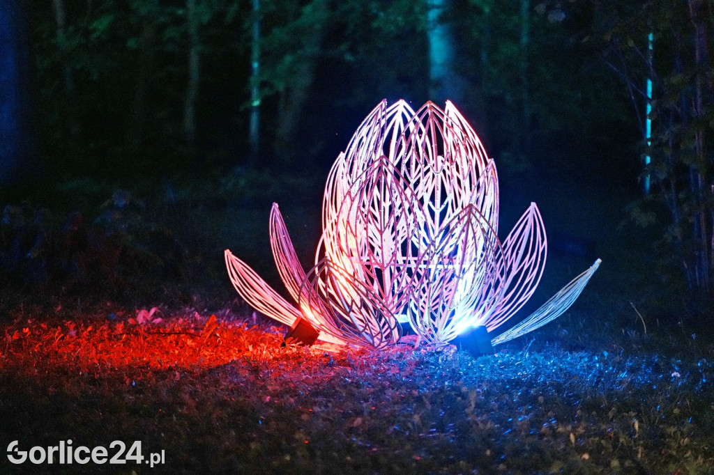 Festiwal Światła - iluminacja w Parku Miejskim (03.05.)