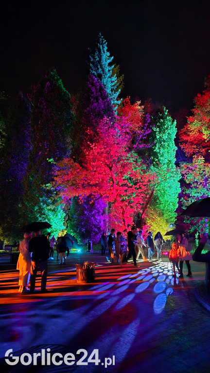 Festiwal Światła - iluminacja w Parku Miejskim (03.05.)