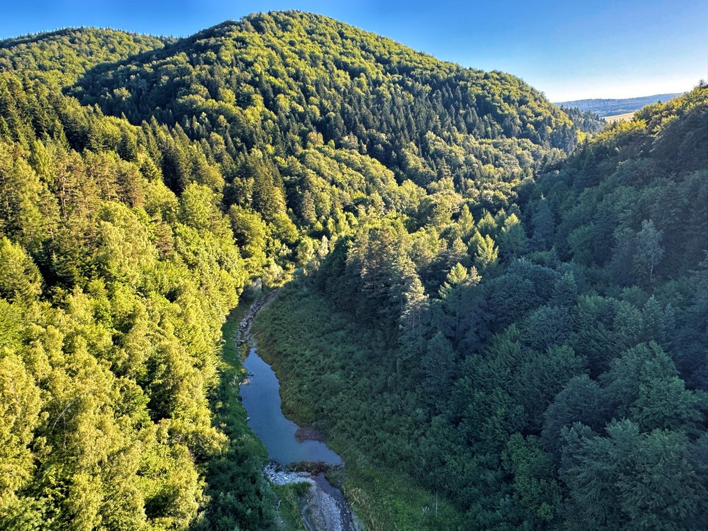 Susza na Klimkówce (07.07.2025)