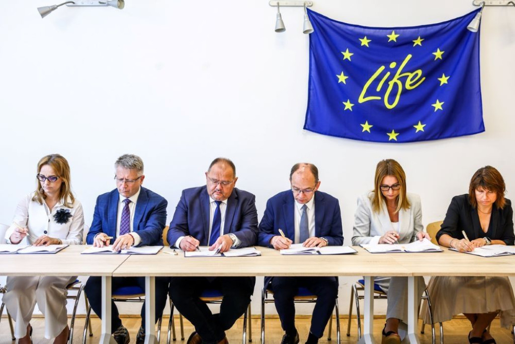 Gorlice w LIFE DREAM CITIES