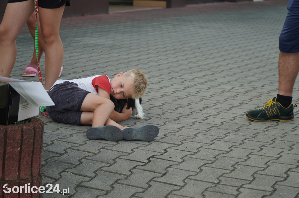 Defibrylatory AED zawisły na remizach OSP (21.07)