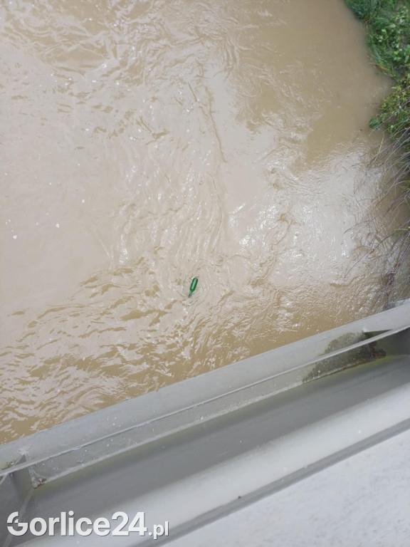 Wielka woda na Sękówce (27.07.)